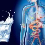 Mengapa Tubuh Anda Membutuhkan Air Setiap Hari